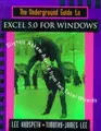 Cover image for The underground guide to Excel 5.0 for windows