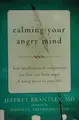 Cover image for Calming your angry mind