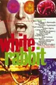 Cover image for White Rabbit