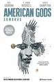 Cover image for American Gods Sombras Tomo nº 01/03