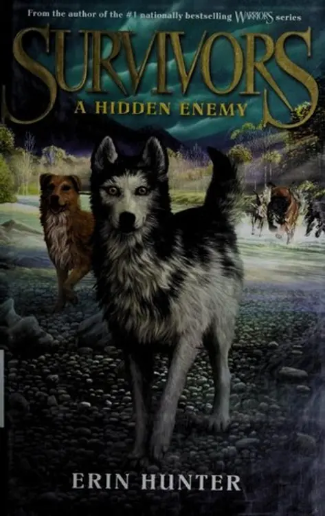 A Hidden Enemy cover