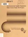 Cover image for Environmental impact statement, Clear Creek Shale Oil Project