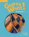 Cover image for Guess What! Level 6 Pupil's Book British English