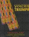 Cover image for Creative Fire (African Americans : Voices of Triumph Ser.))