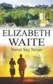 Cover image for Never Say Never