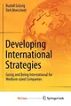 Cover image for Developing International Strategies