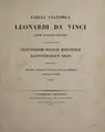 Cover image for Tabula anatomica e bibliotheca augustissimi Magnae Britanniae Hannoveraeque regis depromta, venerem obversam e legibus naturae hominibus solam convenire, ostendens