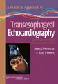 Cover image for A Practical Approach to Transesophageal Echocardiography