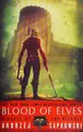 Cover image for Blood of Elves