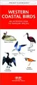 Cover image for Western Coastal Birds