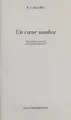Cover image for Un coeur sombre