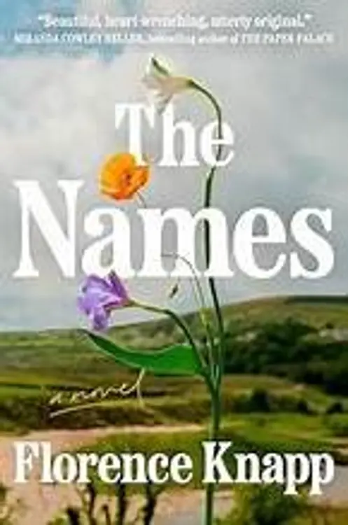 The Names: A Novel cover
