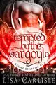 Cover image for Tempted by the Gargoyle
