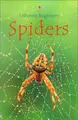 Cover image for Spiders (Beginners)