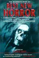 Cover image for The Mammoth Book of Best New Horror 11