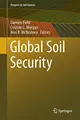 Cover image for Global Soil Security