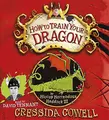 Cover image for How to Train Your Dragon