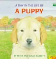 Cover image for A day in the life of a puppy