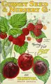 Cover image for Spring and fall