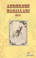 Cover image for Andersen Masallari Cilt