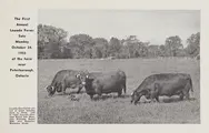 Cover image for The first annual Louada Farms sale
