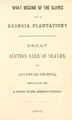 Cover image for What became of the slaves on a Georgia plantation?