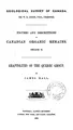 Cover image for Figures and Descriptions on Canadian Organic Remains