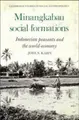 Cover image for Minangkabau social formations
