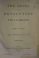Cover image for The angel of the revolution