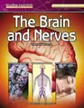 Cover image for Brain And Nerves
