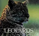 Cover image for Leopards