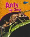 Cover image for Ants Up Close (Perspectives)