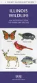 Cover image for Illinois Wildlife