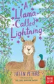 Cover image for Llama Called Lightning