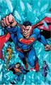 Cover image for Superman