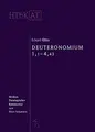 Cover image for Deuteronomium 1-11