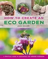 Cover image for How to Create an Eco Garden