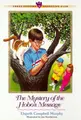 Cover image for The mystery of the hobo's message