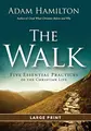 Cover image for The Walk