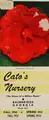 Cover image for Cato's Nursery