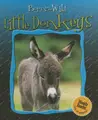 Cover image for Little donkeys