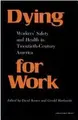 Cover image for Dying for Work