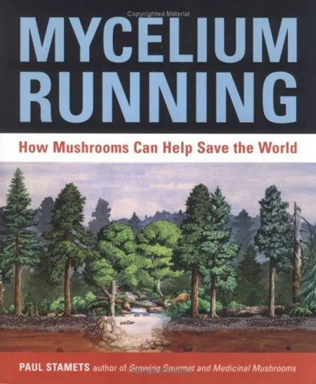 Mycelium running: how mushrooms can help save the world cover