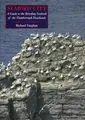 Cover image for Seabird City