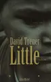 Cover image for Little