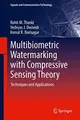 Cover image for Multibiometric Watermarking with Compressive Sensing Theory