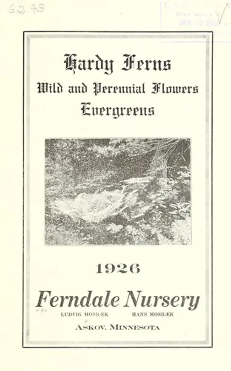 Hardy ferns, wild and hardy perennial flowers, evergreens: 1926 cover