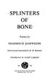 Cover image for Splinters of Bone