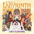 Cover image for Labyrinth