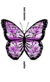 Cover image for PAPILLON (1960S A S.)